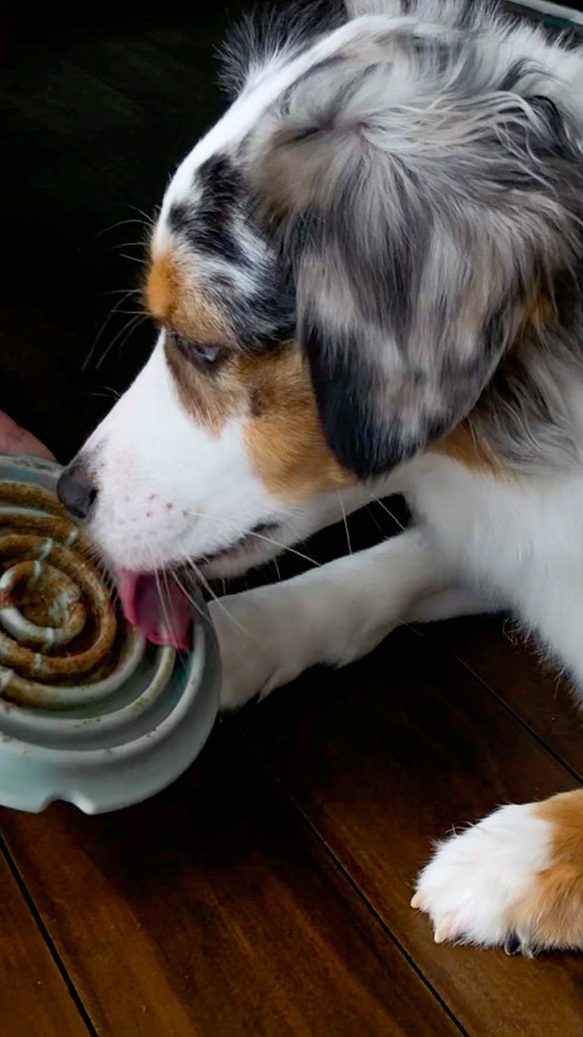 Twirl: Easy Clean Lick Mat | Comes in a Pair | Innovative