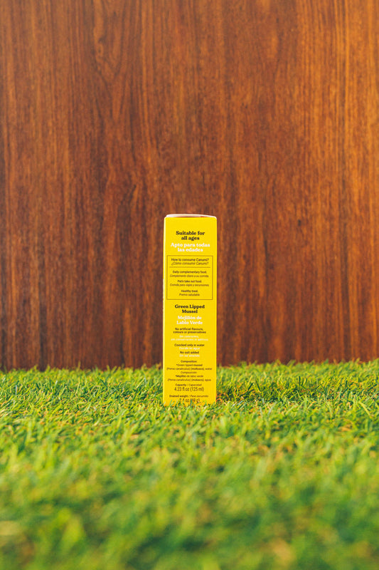 Green Lipped Mussels