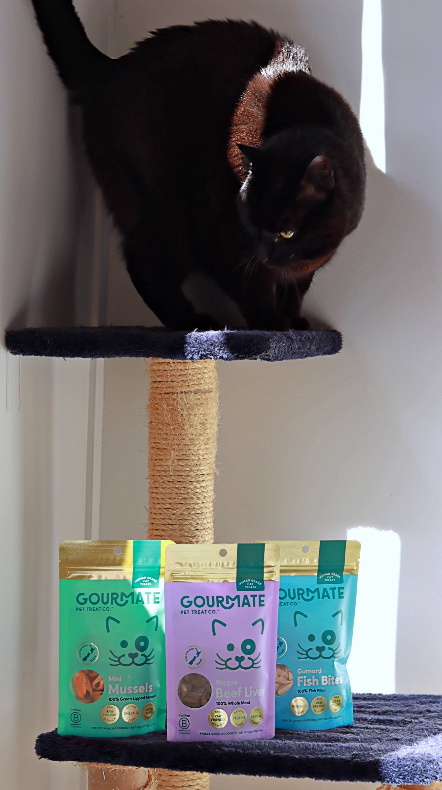 Freeze Dried Mini Mussels