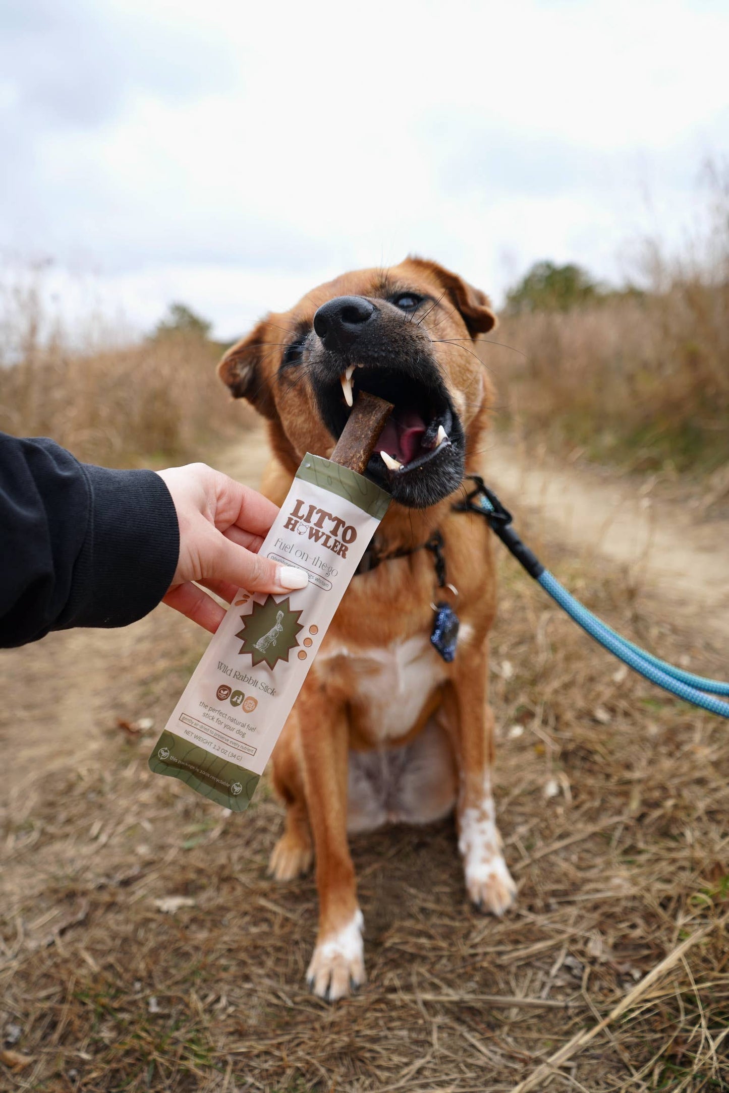 Wild Rabbit Stick