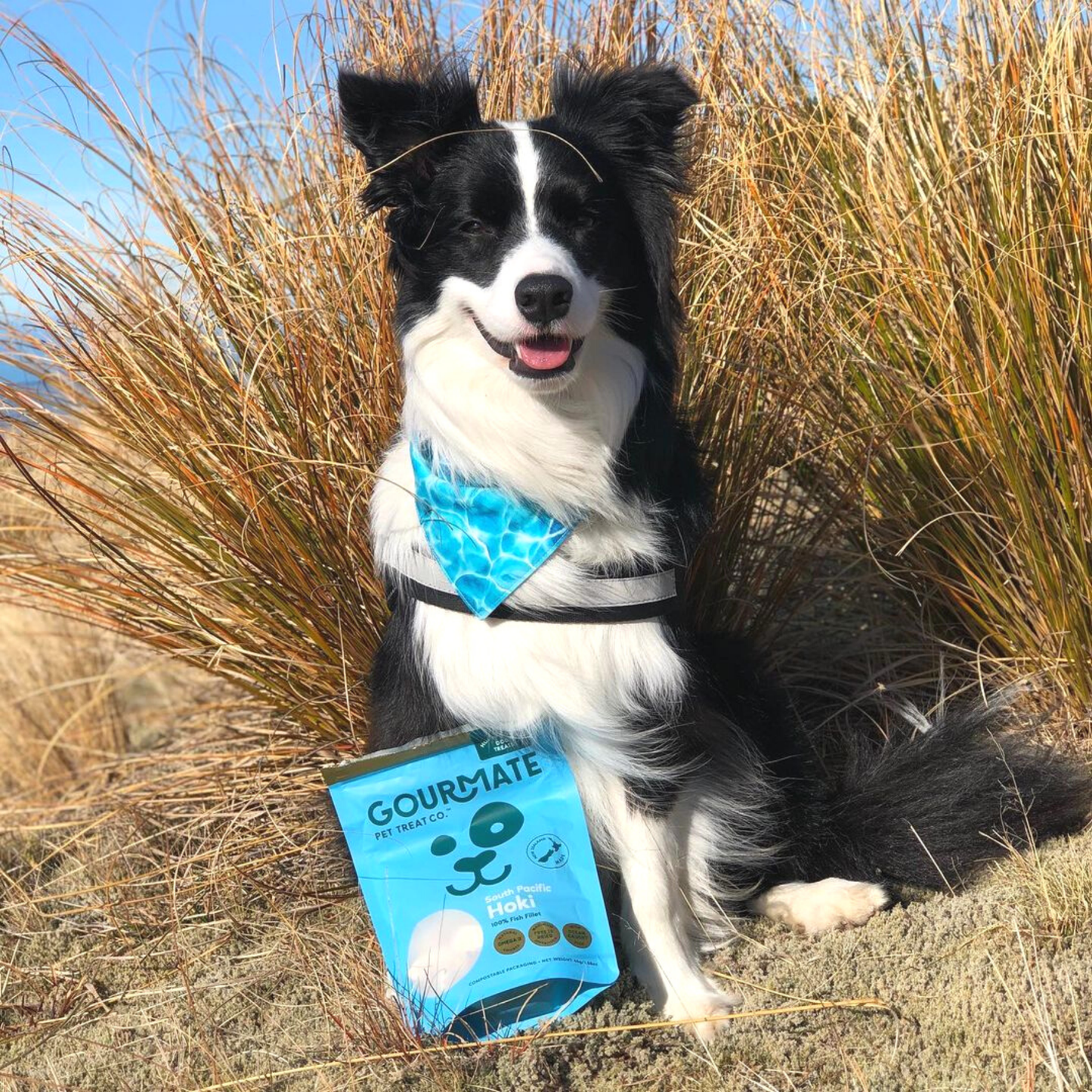 Freeze Dried South Pacific Hoki