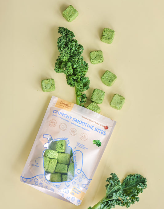 Crunchy Smoothie Bites - Kale