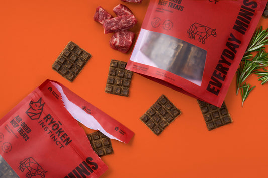 Everyday Minis - Beef Training Treats