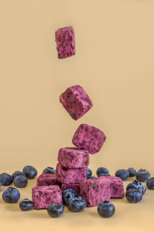 Crispy Goat Yogurt - Blueberry