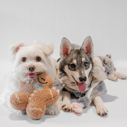Gingerboo Snuffle Toy