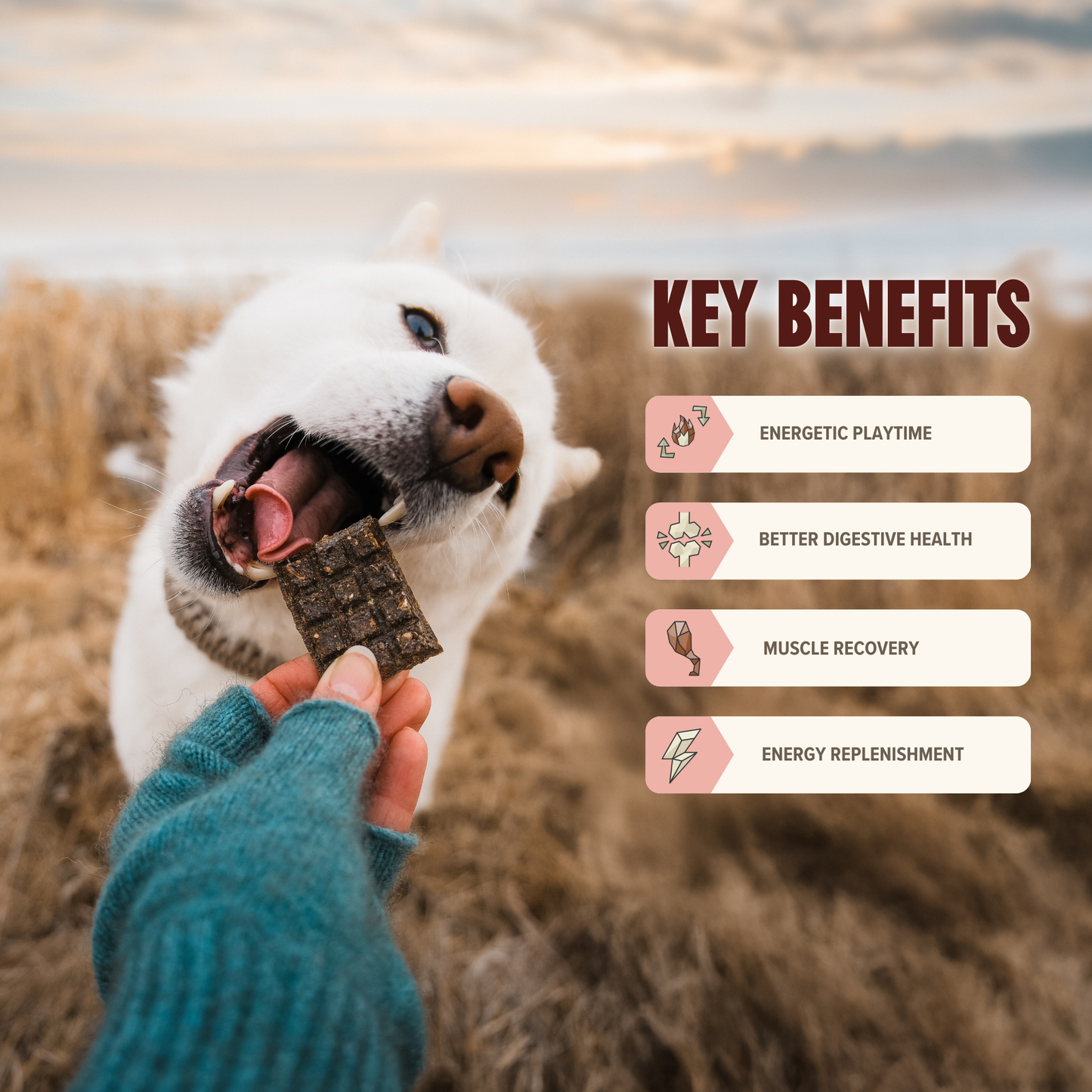 Everyday Minis - Beef Training Treats