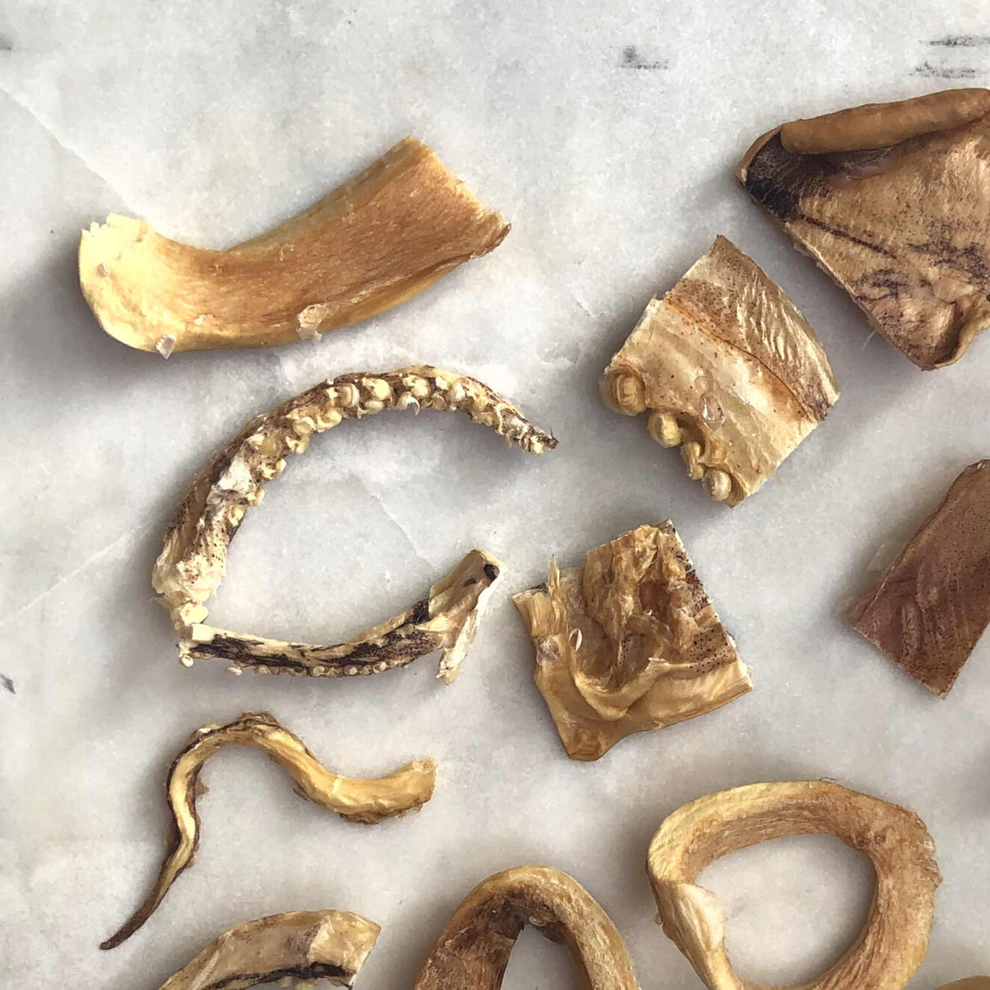 Freeze Dried Wild Caught Calamari