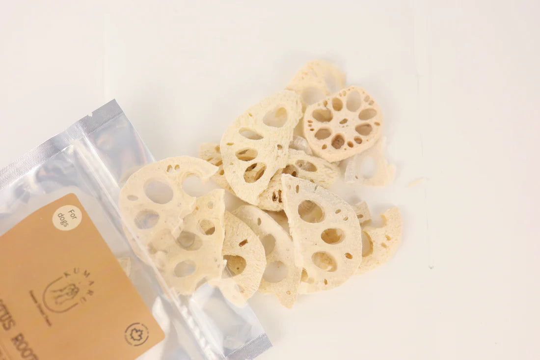 Freeze Dried Lotus Root