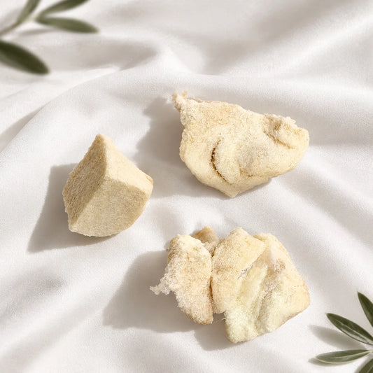 Freeze-Dried Crocodile Meat
