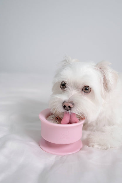 Trove: Dog Enrichment Feeder | Frozen Treat Cup