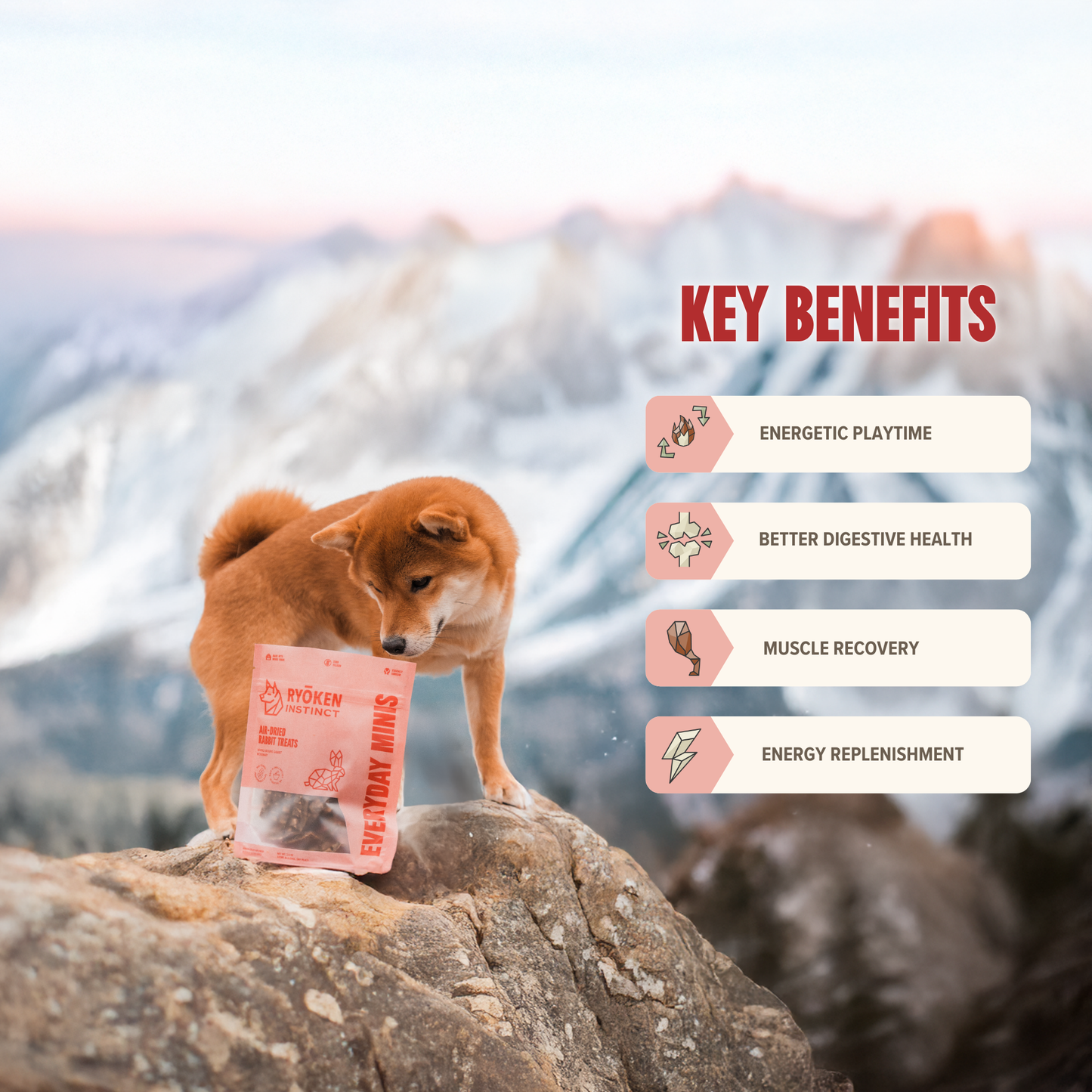 Everyday Minis - Rabbit Training Treats