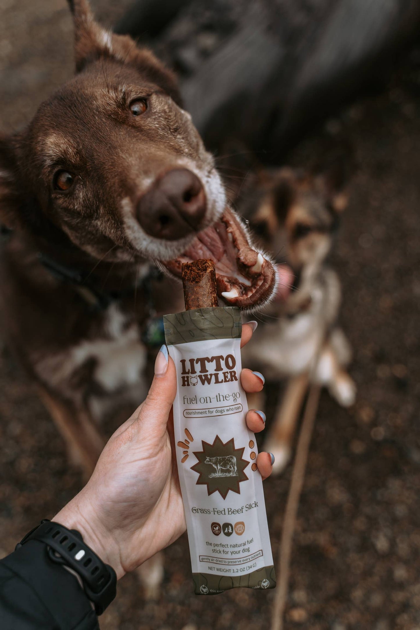 Grass-Fed Beef Sticks
