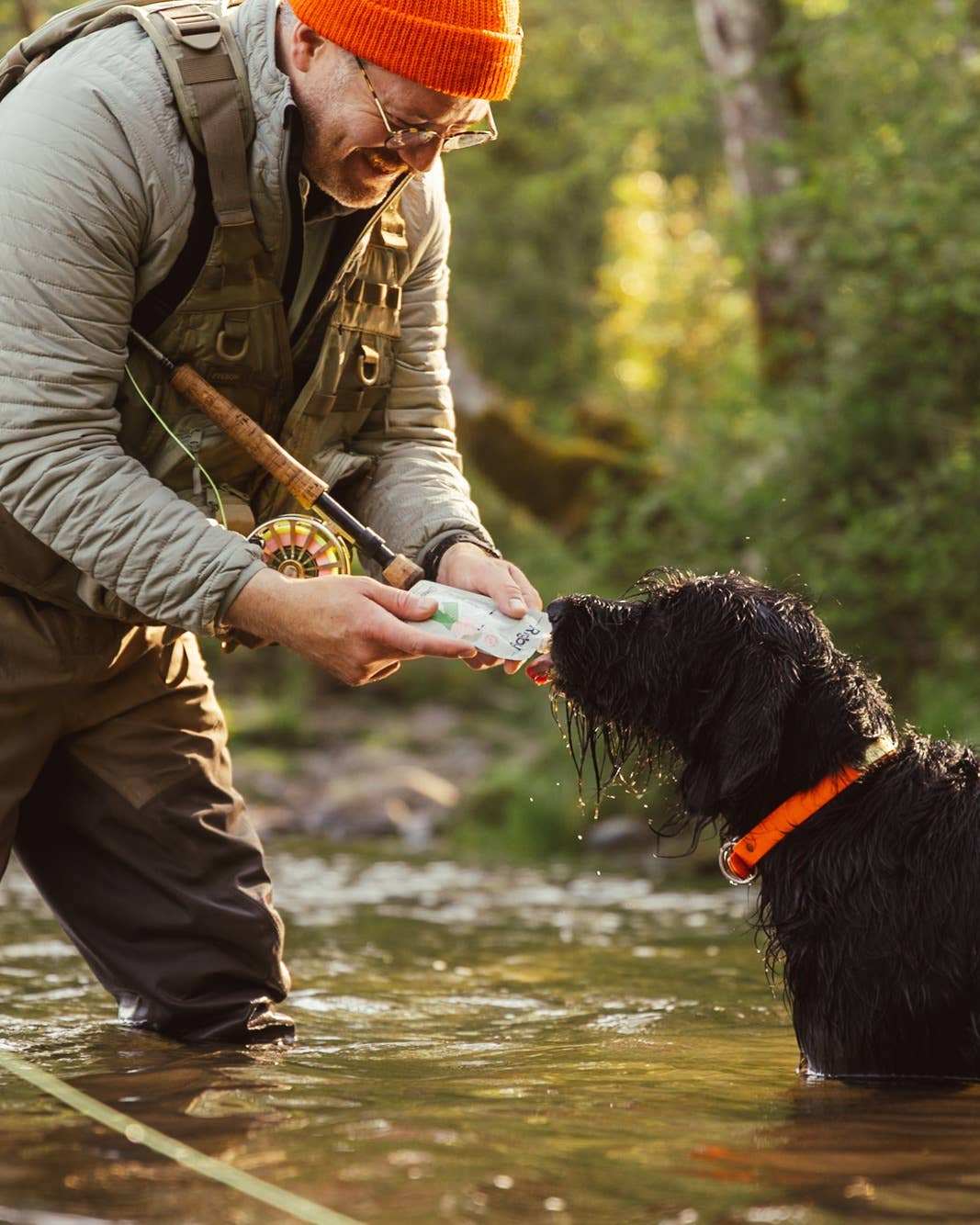 Organic Salmon Squeeze Pouch for Dogs - 6 Pack