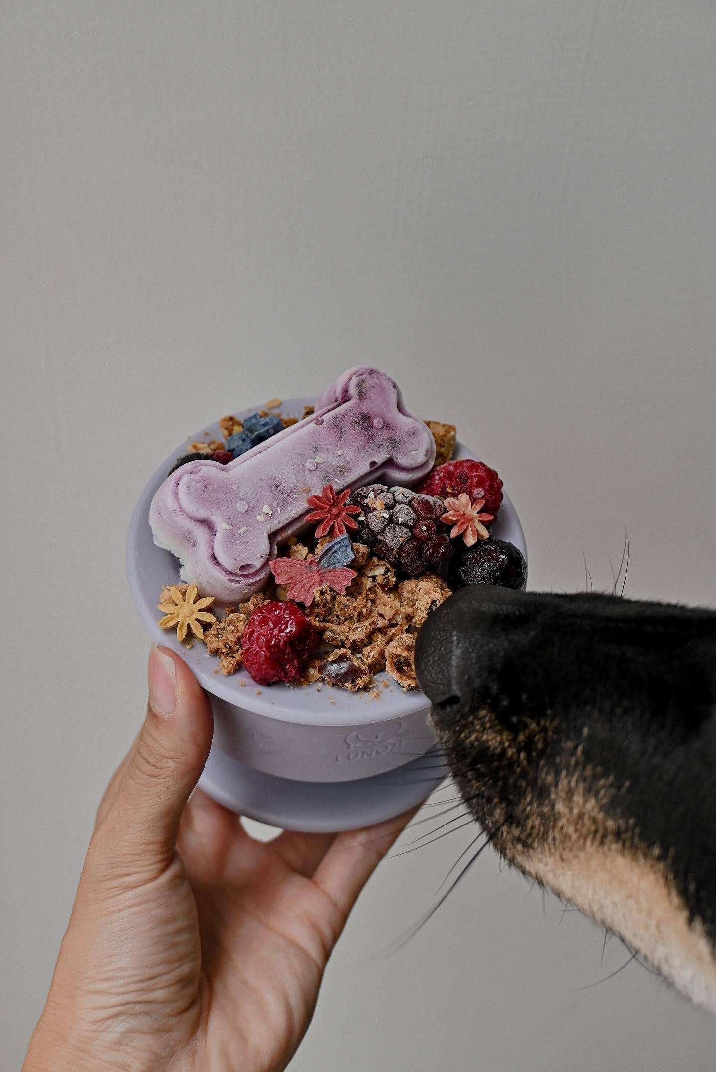 Trove: Dog Enrichment Feeder | Frozen Treat Cup