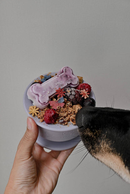 Trove: Dog Enrichment Feeder | Frozen Treat Cup