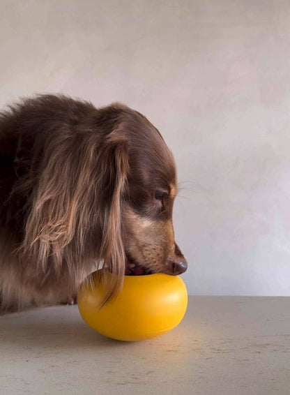 Pebble: All-in-One Dog Toy | Slow Feeder + Treat Dispenser