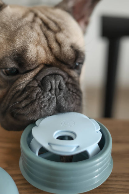 Pebble: All-in-One Dog Toy | Slow Feeder + Treat Dispenser