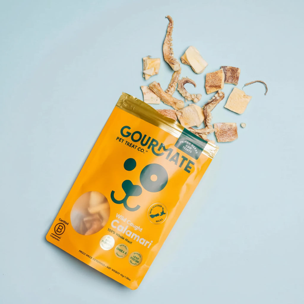Freeze Dried Wild Caught Calamari