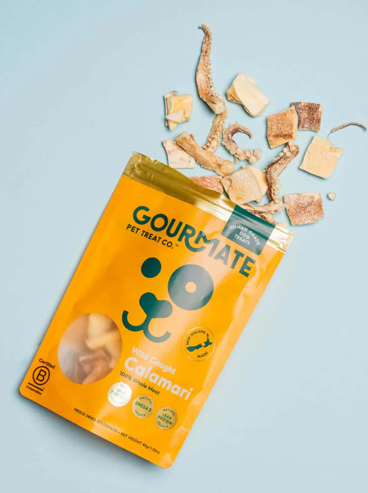 Freeze Dried Wild Caught Calamari