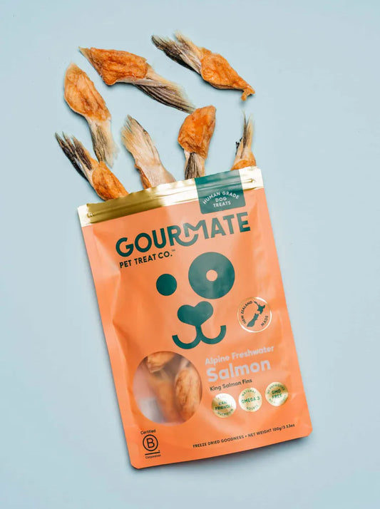 Freeze Dried Alpine Freshwater Salmon Fin