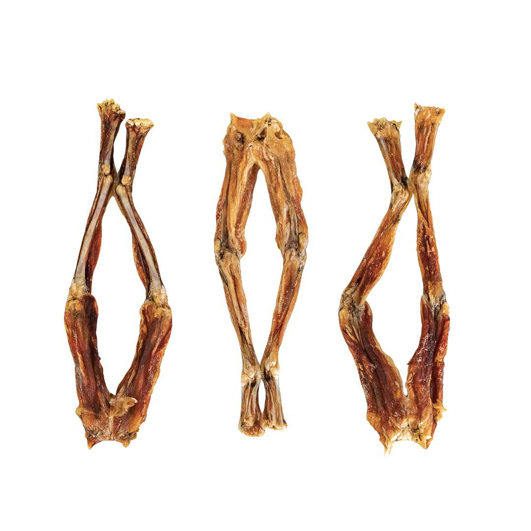 Dehydrated Frog Legs