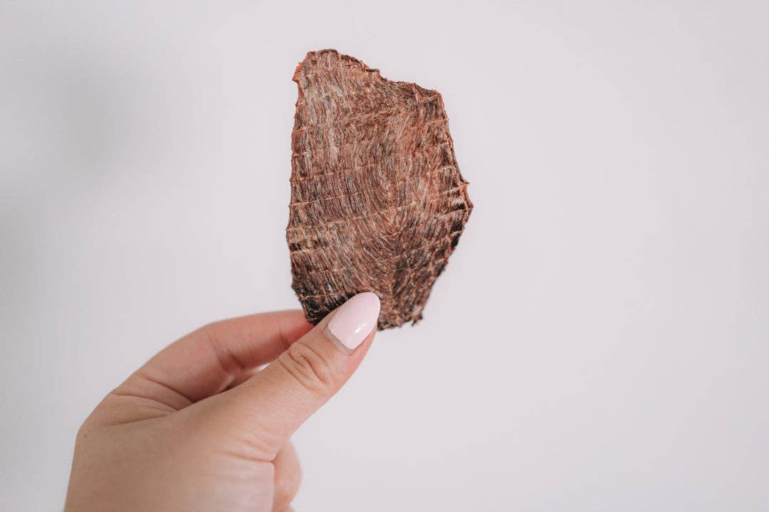 Dehydrated Elk Tenderloin