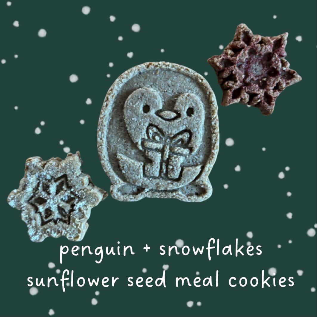 Penguin + Snowflake Cookies Set
