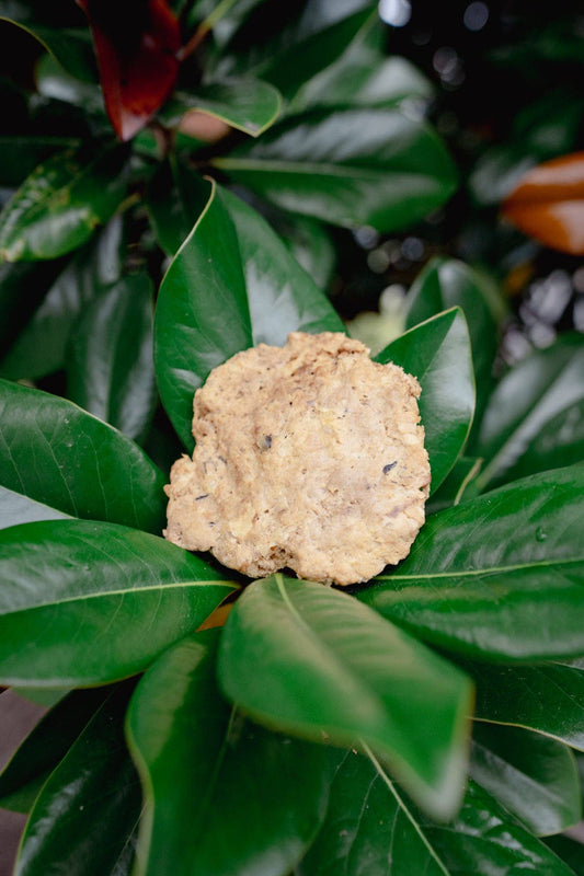 BUTCHERED GROUND QUAIL | Freeze-Dried Dog + Cat Treat