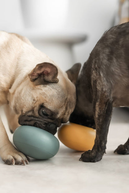 Pebble: All-in-One Dog Toy | Slow Feeder + Treat Dispenser