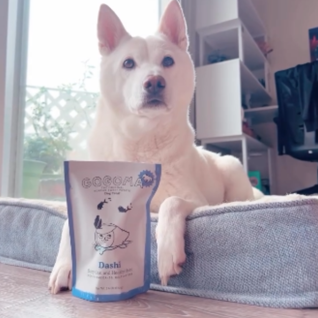 Dashi Delight: Kelp + Tuna Treat for Heart Health