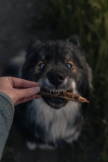 Dehydrated Lamb Green Tripe Sticks | 6 Sticks