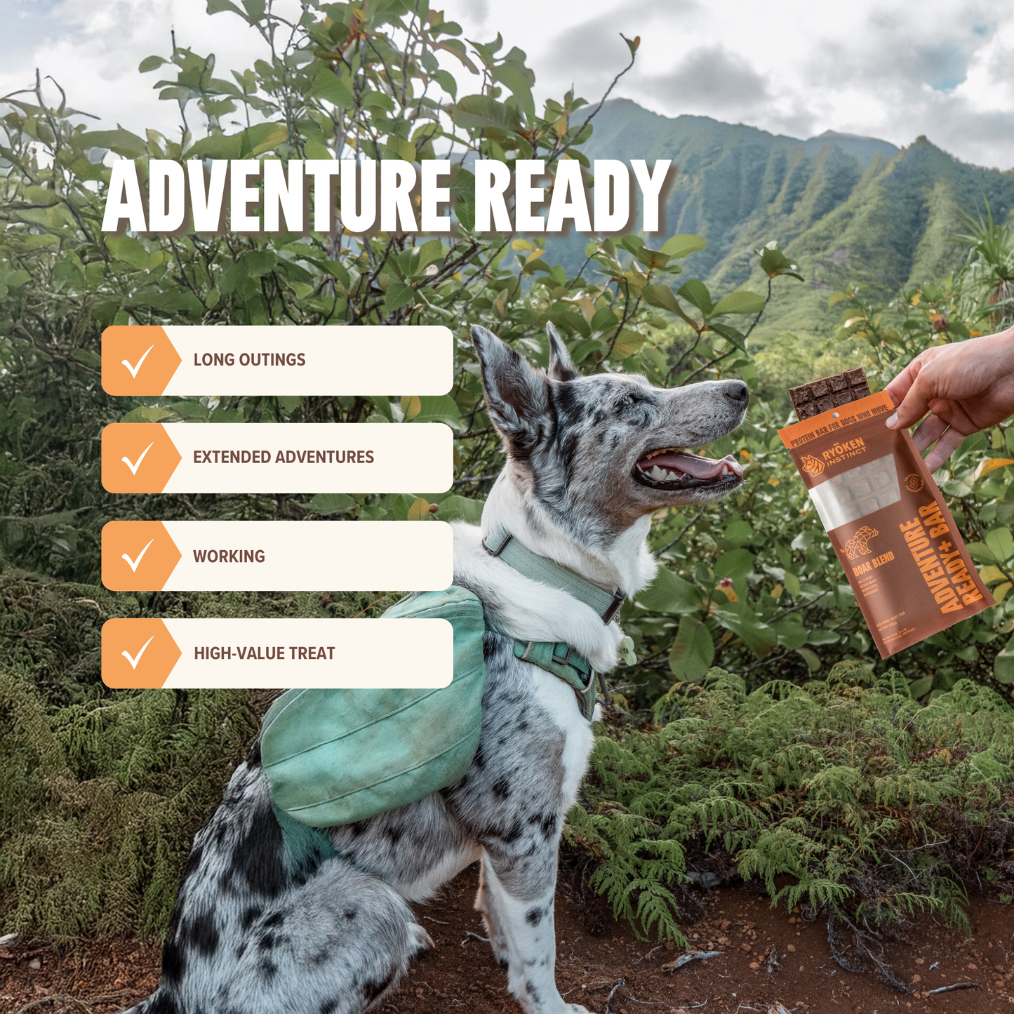 Boar Treat & Snack Bar