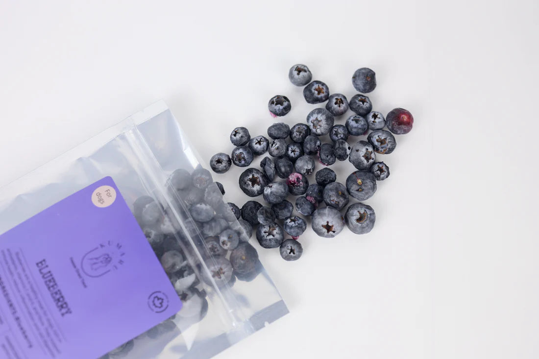 Freeze Dried Blueberry