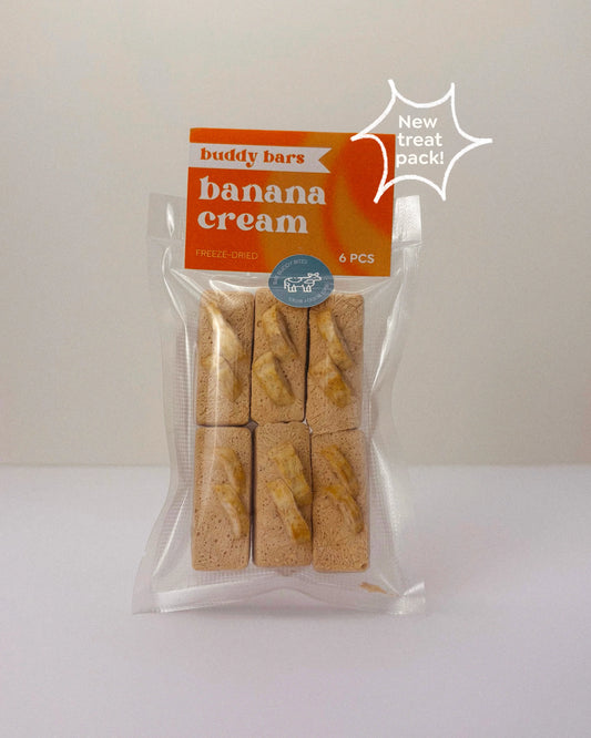 buddy bars | Banana Cream Pie