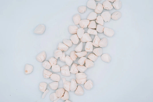 Freeze-Dried Scallops