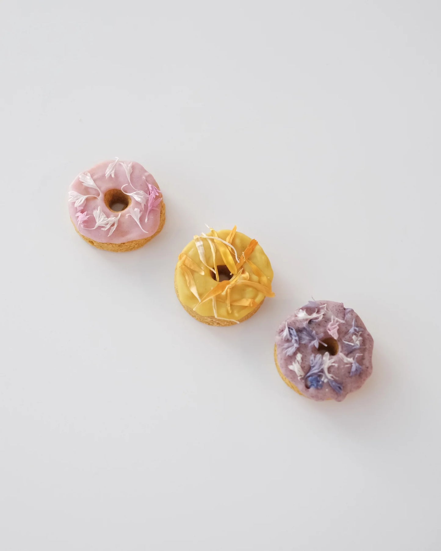 Doggo Donuts