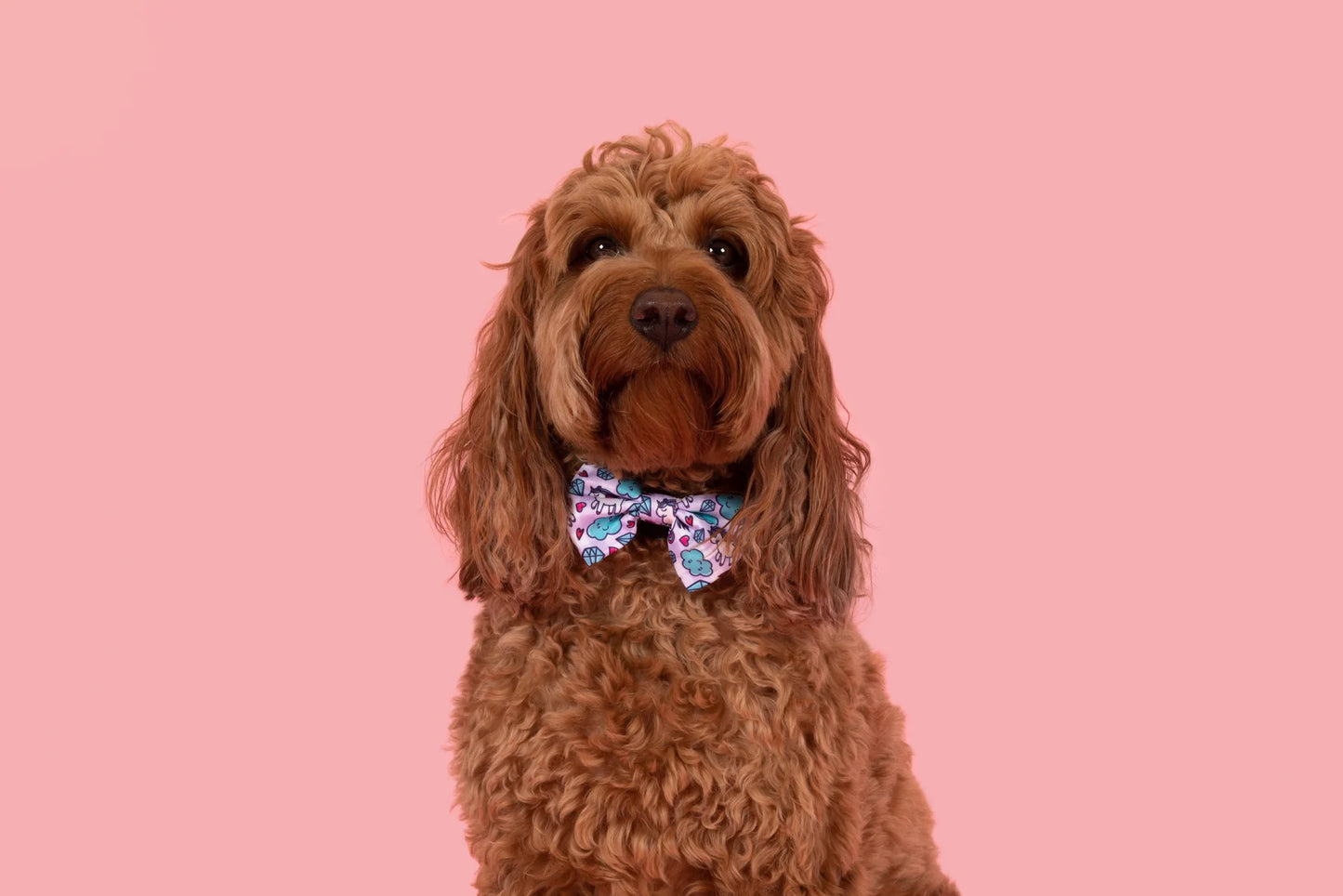 Dog Collar & Bow Tie: Cloudland