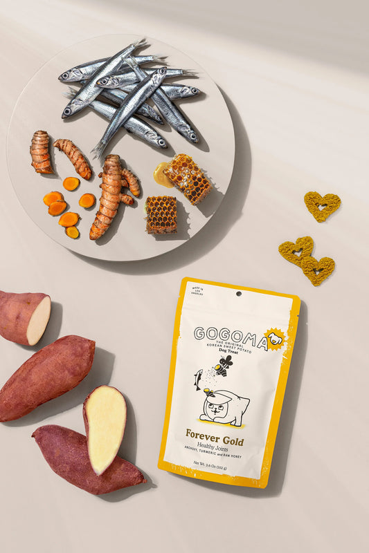 Forever Gold: Turmeric + Anchovy Treat for Mobility