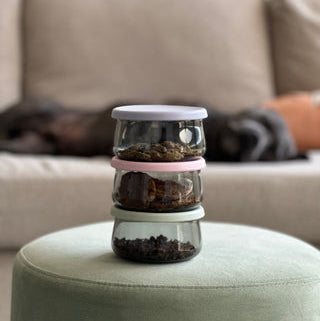 Tinted Glass Treat Jars