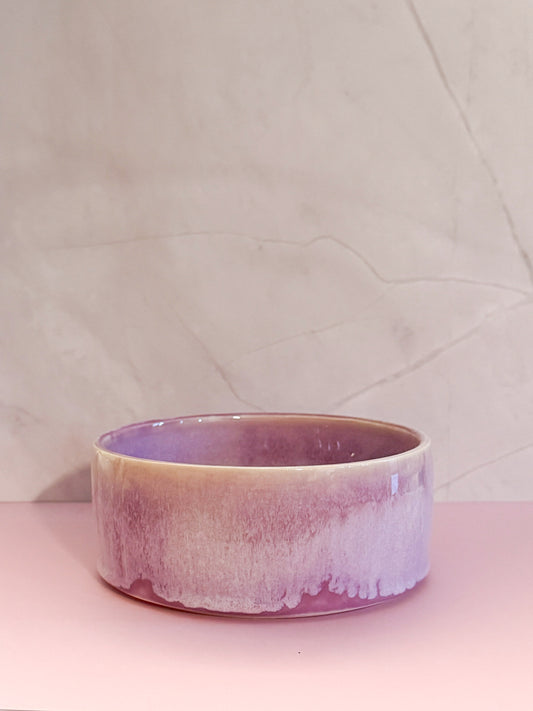 Pink Purple Dog Water Bowl