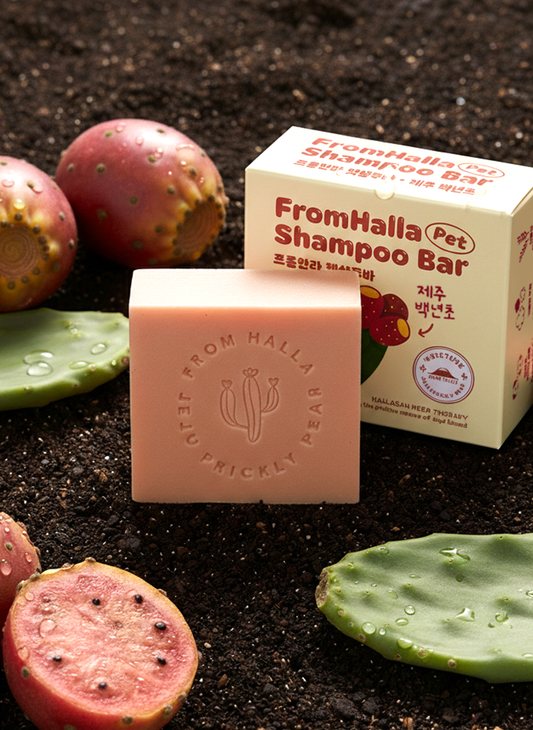 Shampoo Bar - Prickly Pear
