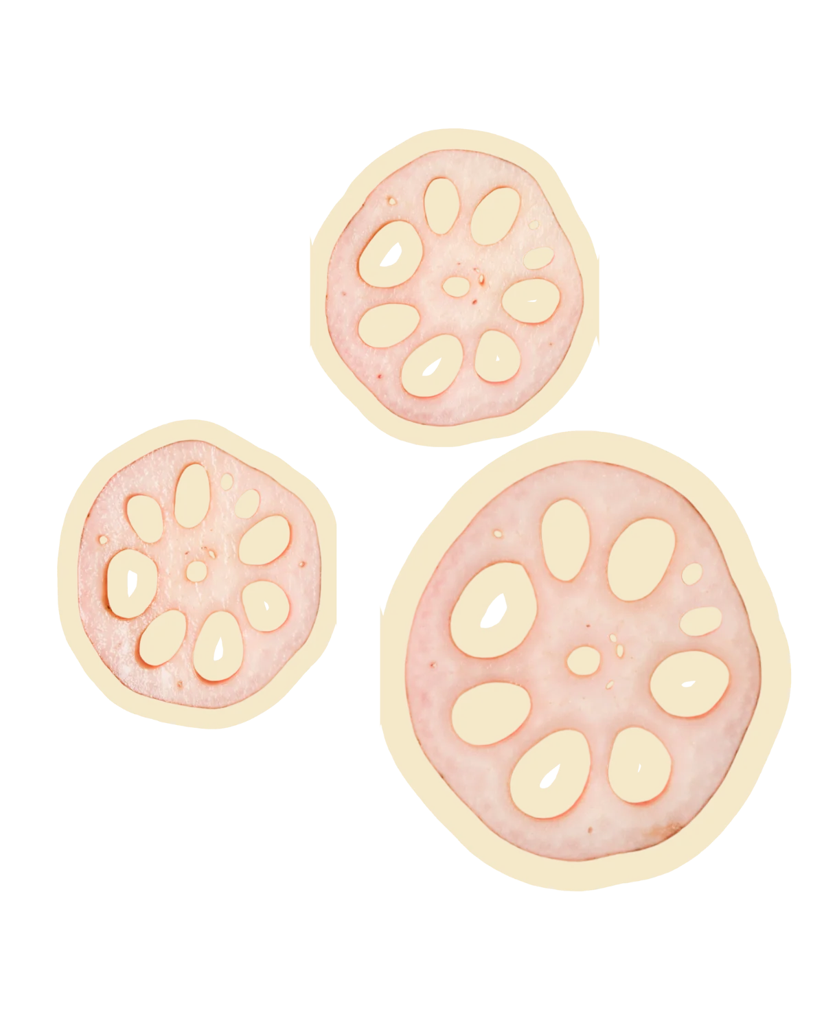 Freeze Dried Lotus Root