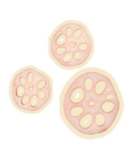 Freeze Dried Lotus Root