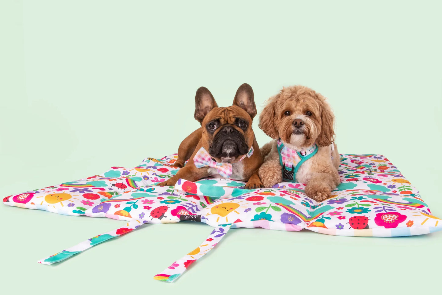 ON-THE-GO PET MAT: Follow The Rainbow/Rainbow Gingham