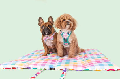 ON-THE-GO PET MAT: Follow The Rainbow/Rainbow Gingham