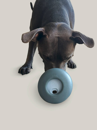Pebble: All-in-One Dog Toy | Slow Feeder + Treat Dispenser