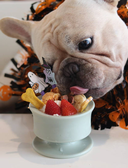 Trove: Dog Enrichment Feeder | Frozen Treat Cup