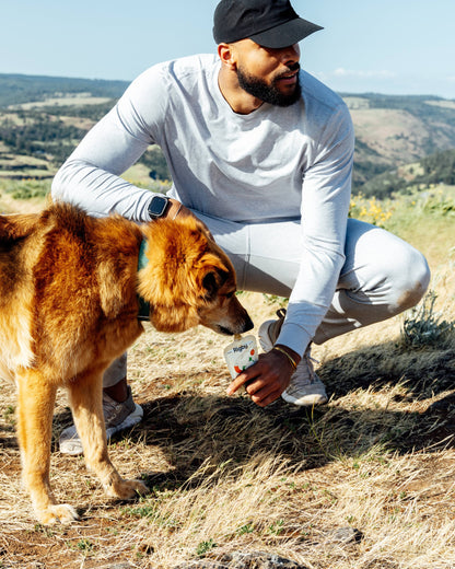 Organic Beef Squeeze Pouch for Dogs - 6 Pack