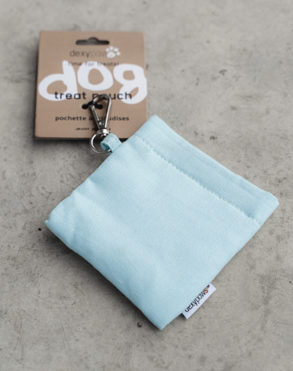 Treat Pouch in Sky Blue