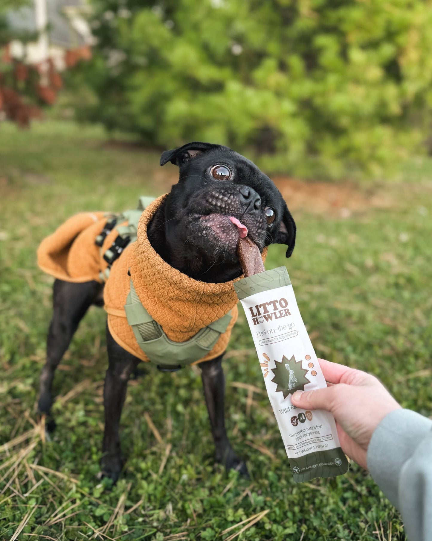 Wild Rabbit Stick